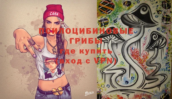 дживик Заволжье