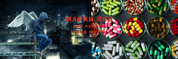 мяу мяу мука Елизово