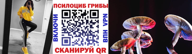 Галлюциногенные грибы Psilocybe  кракен онион  Инза 